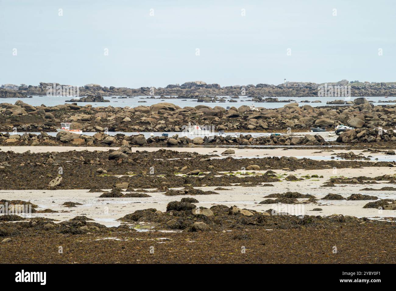 Costa del Finistére settentrionale con la bassa marea Foto Stock