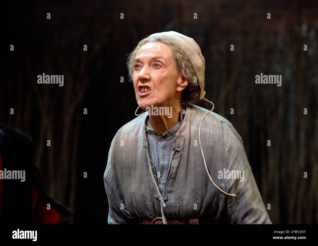 Eileen Atkins (madre Sawyer) in LA STREGA di EDMONTON di Dekker, Ford & Rowley alla Royal Shakespeare Company (RSC), Swan Theatre, Stratford-upon-Avon, Inghilterra 29/10/2014 design: Niki Turner illuminazione: Tim Mitchell regista: Gregory Doran Foto Stock