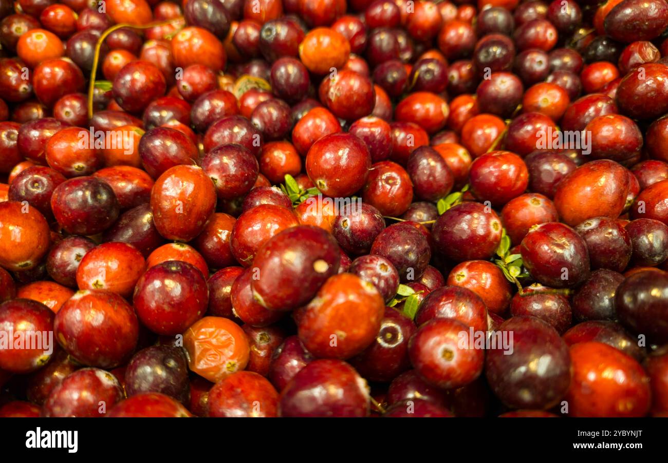 Sfondo di mirtilli rossi. I mirtilli rossi sono sugli scaffali dei negozi. Mirtilli rossi maturi. Sfondo frutti di bosco. Foto di alta qualità Foto Stock