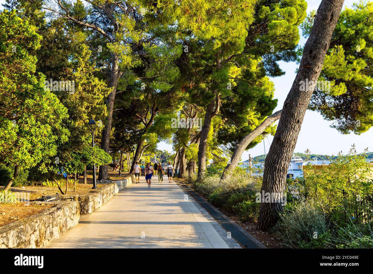 Passeggiata sul lungomare attraverso il Parco di Hvar che conduce al centro di Hvar, all'isola di Hvar, Croazia Foto Stock