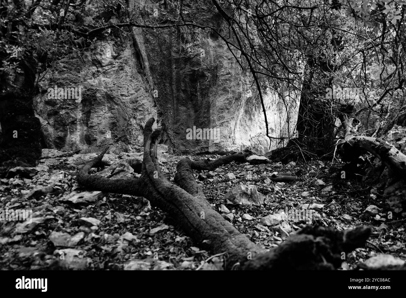 L'esuberante scenario naturale del Supramonte di Orgosolo che ospita la dolina di Tiscali con il villaggio post-nuragico, Orgosolo, Nuoro, Sardegna Foto Stock