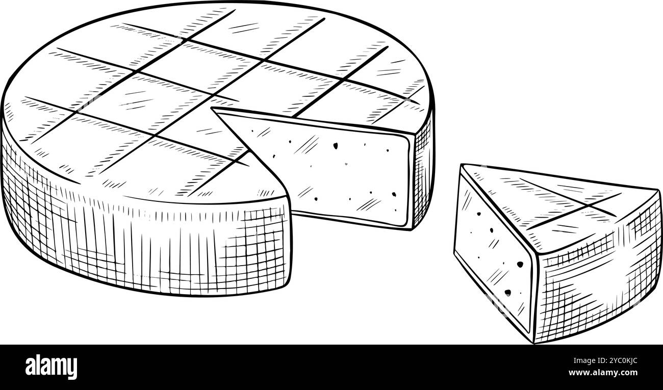 Illustrazione vettoriale formaggio. Disegno con fetta di prodotto lattiero-caseario dipinto da inchiostri neri su sfondo isolato. Incisione lineare di alimenti rustici per libri di cucina e ricette. Ingrediente per cucinare. Illustrazione Vettoriale