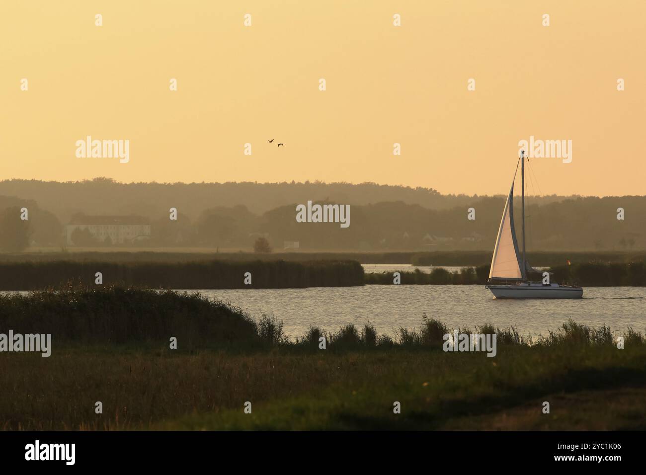 Barca a vela, Mar Baltico, Meclemburgo-Pomerania occidentale, Germania, Europa Foto Stock