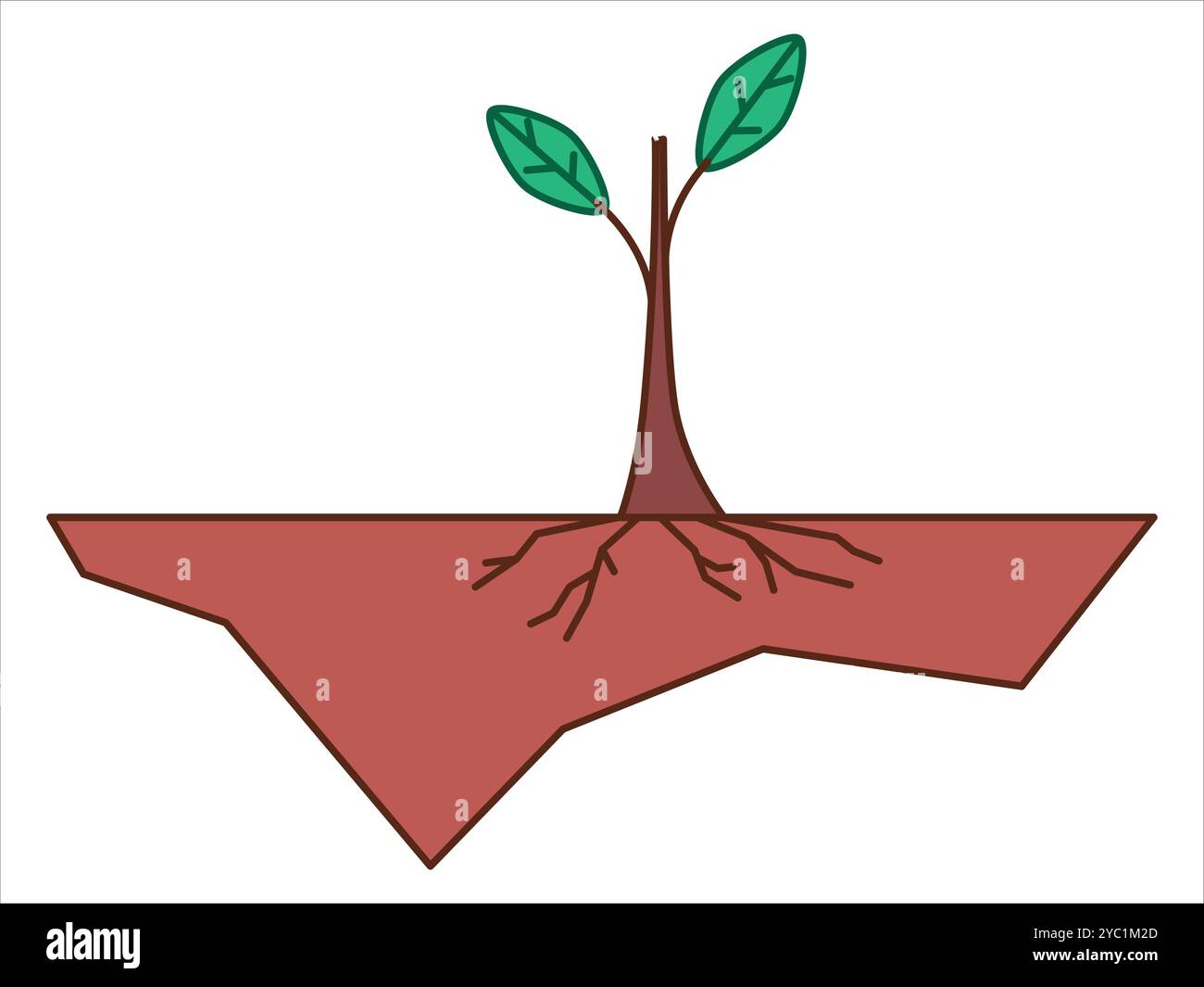 Stelo di emergenza Bud fase di alberello crescita coltivata pianta naturale albero naturale crescita colorato sistema di radici Set icone di progettazione Illustrazione Vettoriale