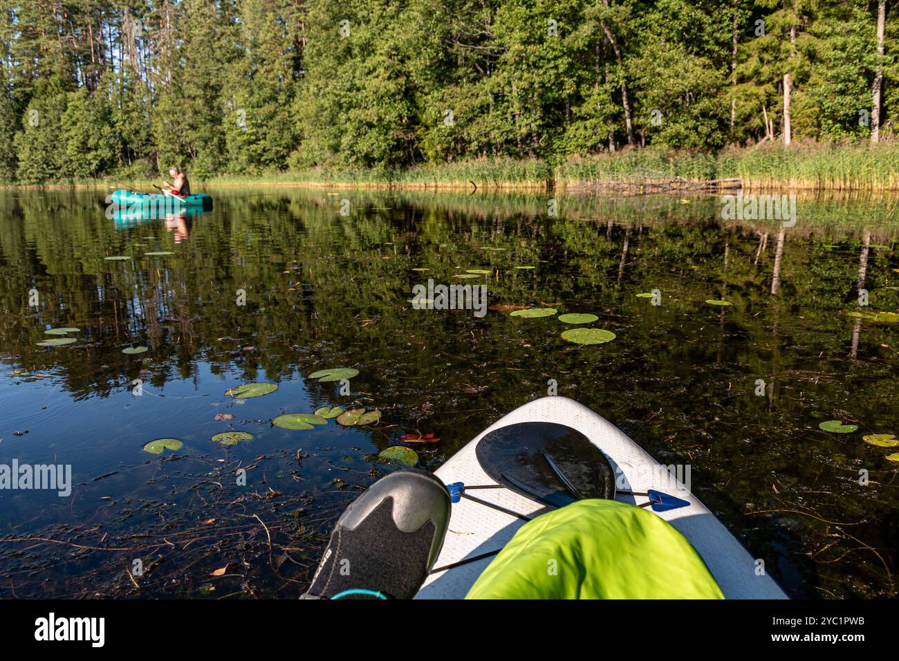 splendido paesaggio estivo con un lago, paddle board nel lago, piante d'acqua selvatiche, estate Foto Stock