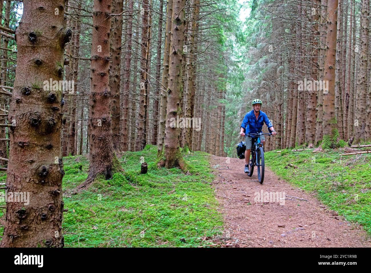 Pedalando sulla Great Glen Way vicino a Drumnadrochit Foto Stock