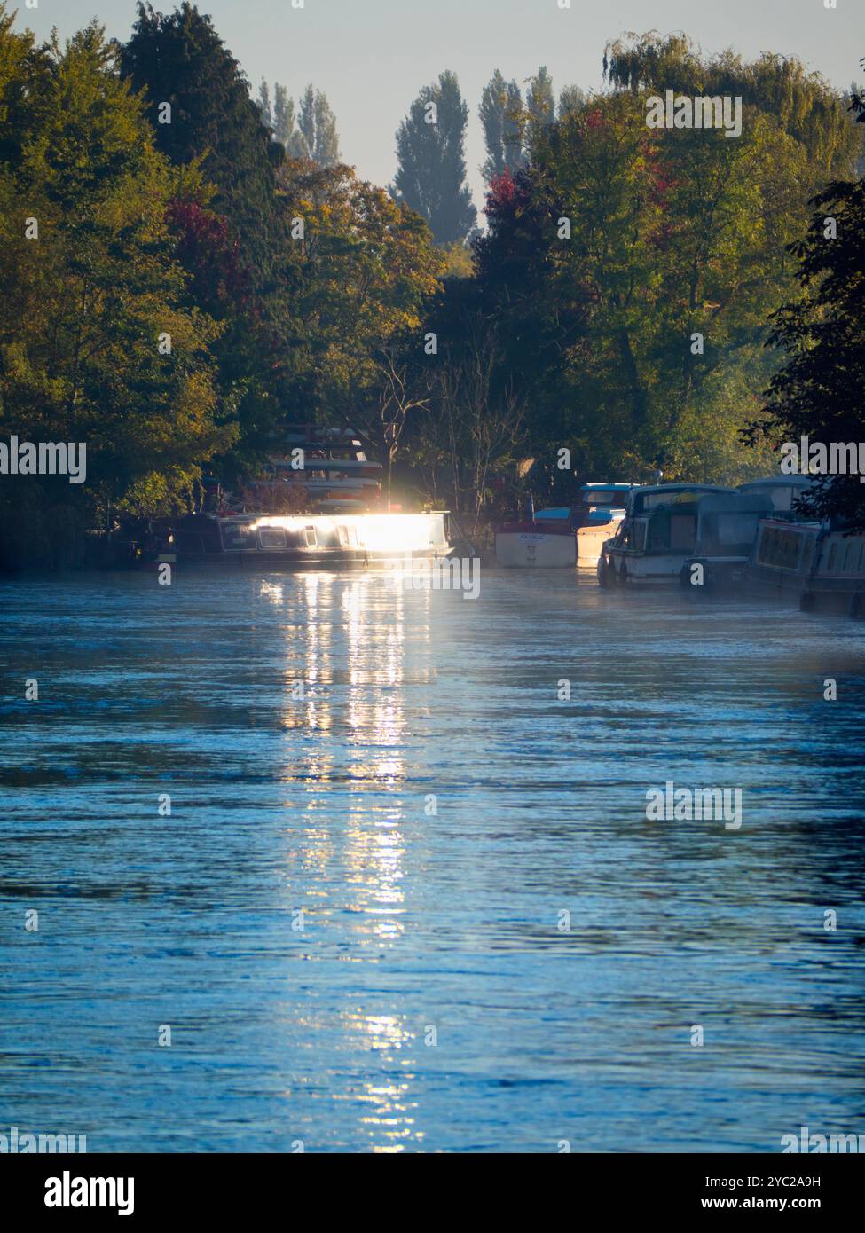 Una casa galleggiante ormeggiata dal Tamigi ad Abingdon, che riflette il sole basso in una nebbiosa mattina d'autunno. Abingdon sostiene di essere la città più antica d'Inghilterra, e il Tamigi scorre attraverso il suo cuore. Se fai una passeggiata sul fiume o fai jogging la maggior parte dei giorni, spesso puoi catturare meravigliosi momenti transitori ed effetti di luce come questo. Foto Stock