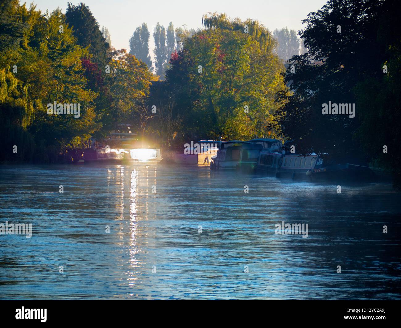 Una casa galleggiante ormeggiata dal Tamigi ad Abingdon, che riflette il sole basso in una nebbiosa mattina d'autunno. Abingdon sostiene di essere la città più antica d'Inghilterra, e il Tamigi scorre attraverso il suo cuore. Se fai una passeggiata sul fiume o fai jogging la maggior parte dei giorni, spesso puoi catturare meravigliosi momenti transitori ed effetti di luce come questo. Foto Stock