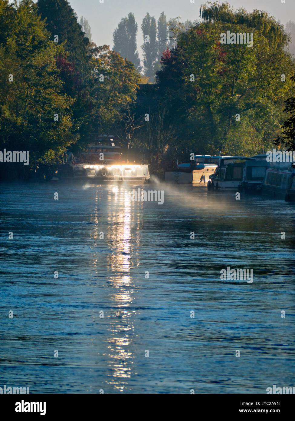 Una casa galleggiante ormeggiata dal Tamigi ad Abingdon, che riflette il sole basso in una nebbiosa mattina d'autunno. Abingdon sostiene di essere la città più antica d'Inghilterra, e il Tamigi scorre attraverso il suo cuore. Se fai una passeggiata sul fiume o fai jogging la maggior parte dei giorni, spesso puoi catturare meravigliosi momenti transitori ed effetti di luce come questo. Foto Stock