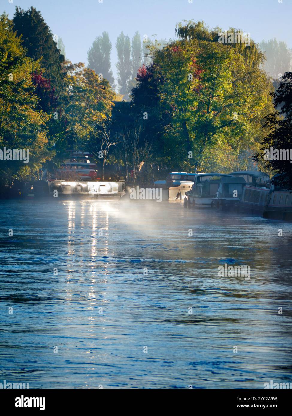 Una casa galleggiante ormeggiata dal Tamigi ad Abingdon, che riflette il sole basso in una nebbiosa mattina d'autunno. Abingdon sostiene di essere la città più antica d'Inghilterra, e il Tamigi scorre attraverso il suo cuore. Se fai una passeggiata sul fiume o fai jogging la maggior parte dei giorni, spesso puoi catturare meravigliosi momenti transitori ed effetti di luce come questo. Foto Stock