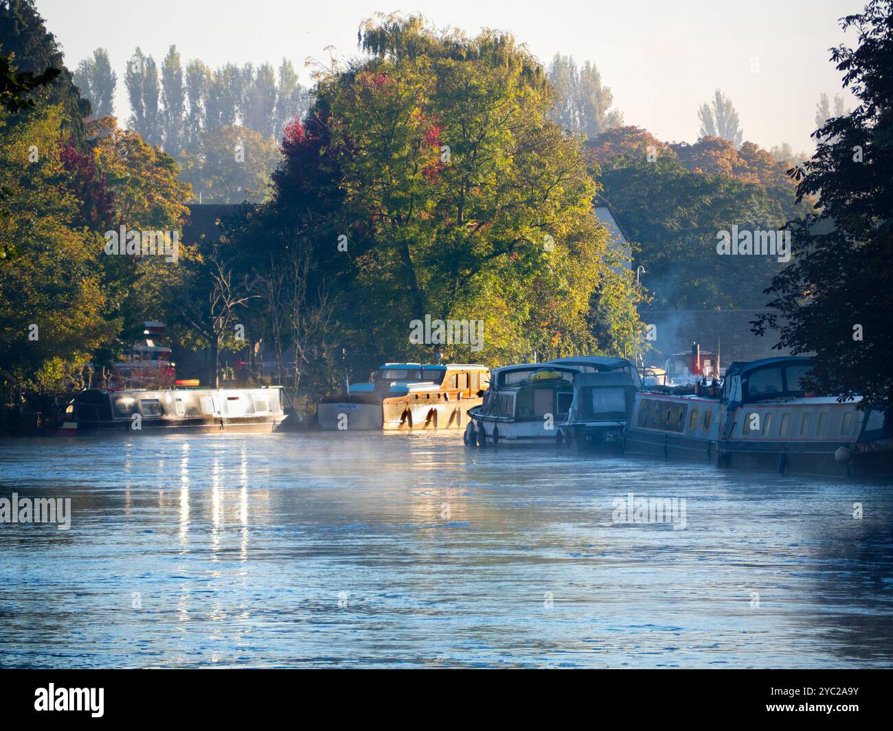 Una casa galleggiante ormeggiata dal Tamigi ad Abingdon, che riflette il sole basso in una nebbiosa mattina d'autunno. Abingdon sostiene di essere la città più antica d'Inghilterra, e il Tamigi scorre attraverso il suo cuore. Se fai una passeggiata sul fiume o fai jogging la maggior parte dei giorni, spesso puoi catturare meravigliosi momenti transitori ed effetti di luce come questo. Foto Stock