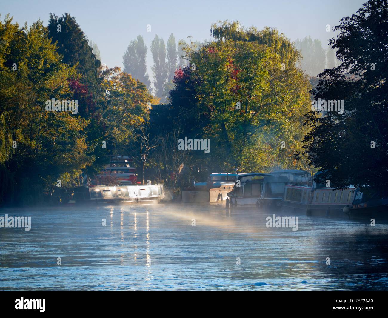 Una casa galleggiante ormeggiata dal Tamigi ad Abingdon, che riflette il sole basso in una nebbiosa mattina d'autunno. Abingdon sostiene di essere la città più antica d'Inghilterra, e il Tamigi scorre attraverso il suo cuore. Se fai una passeggiata sul fiume o fai jogging la maggior parte dei giorni, spesso puoi catturare meravigliosi momenti transitori ed effetti di luce come questo. Foto Stock
