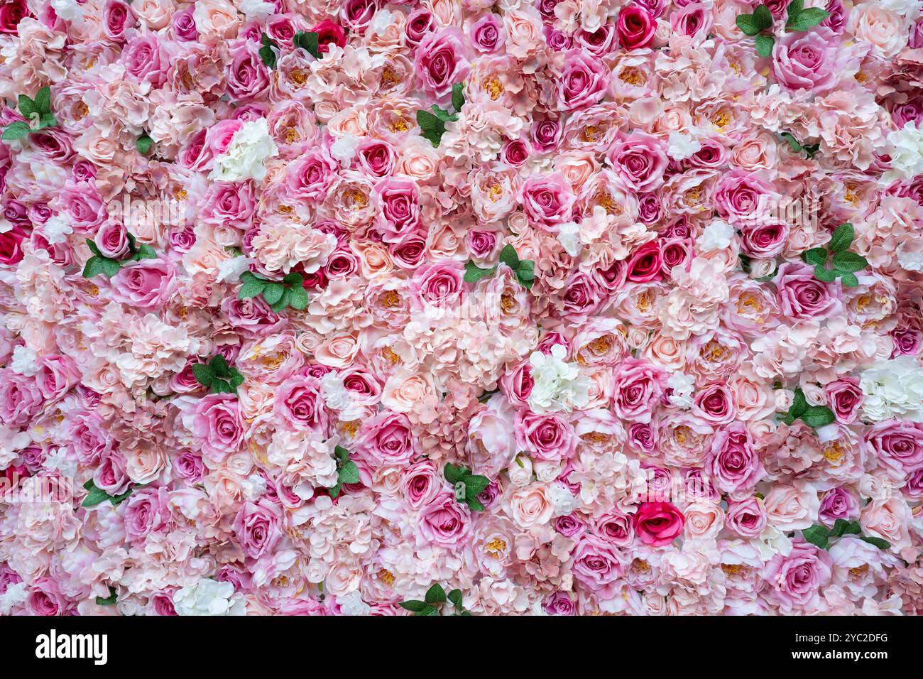 Vista astratta delle rose rosa sfondo utile Foto Stock