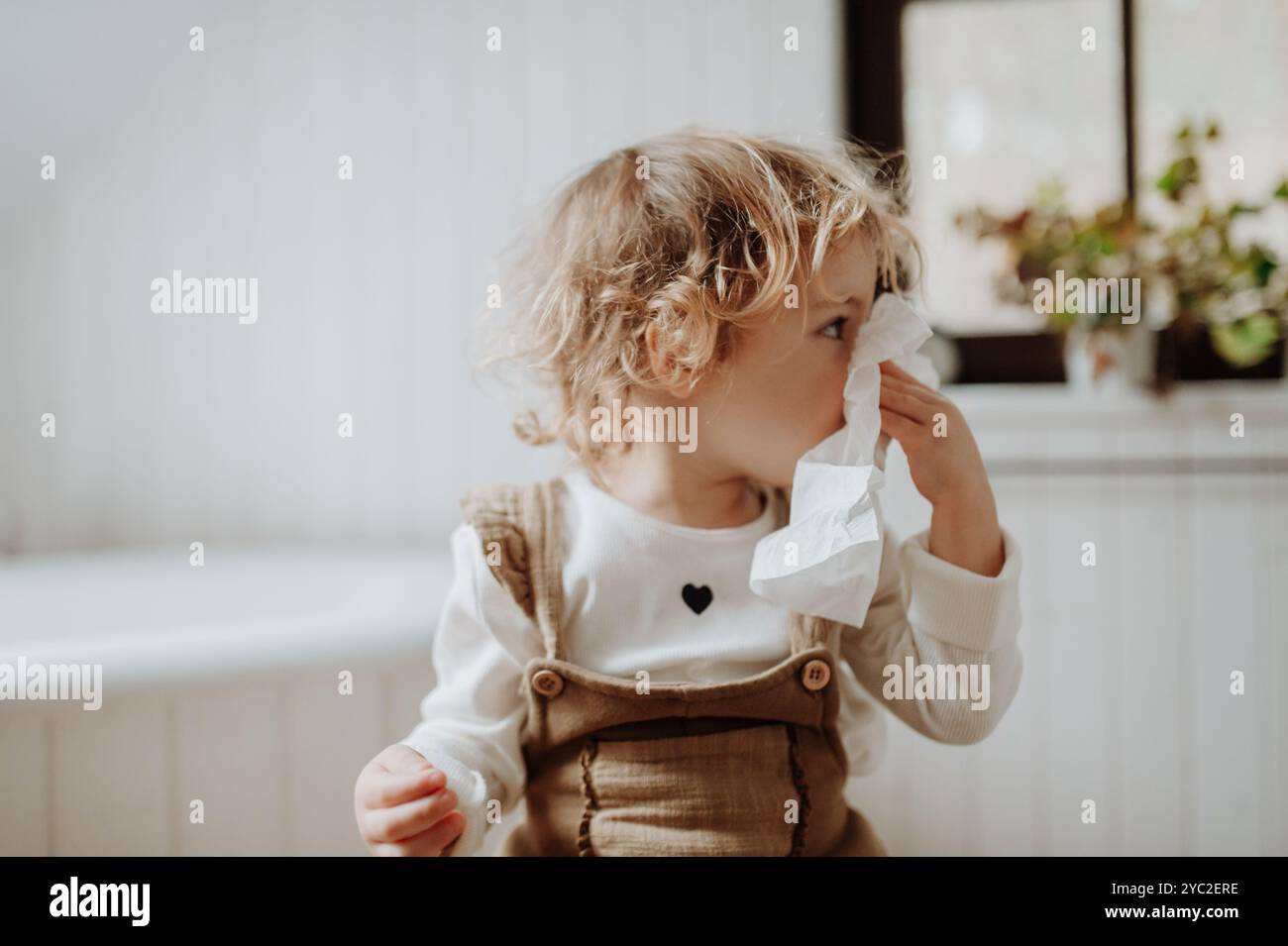 Ragazza malata con freddo a casa, che le fa saltare il naso. Foto Stock