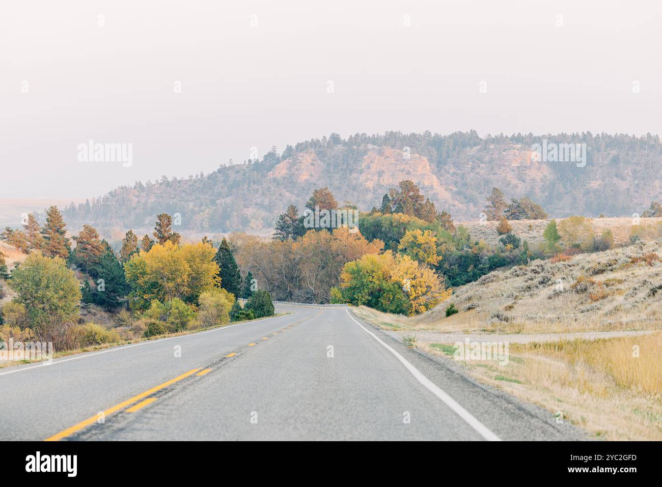 Strada panoramica vicino a Columbus, Montana in autunno Foto Stock