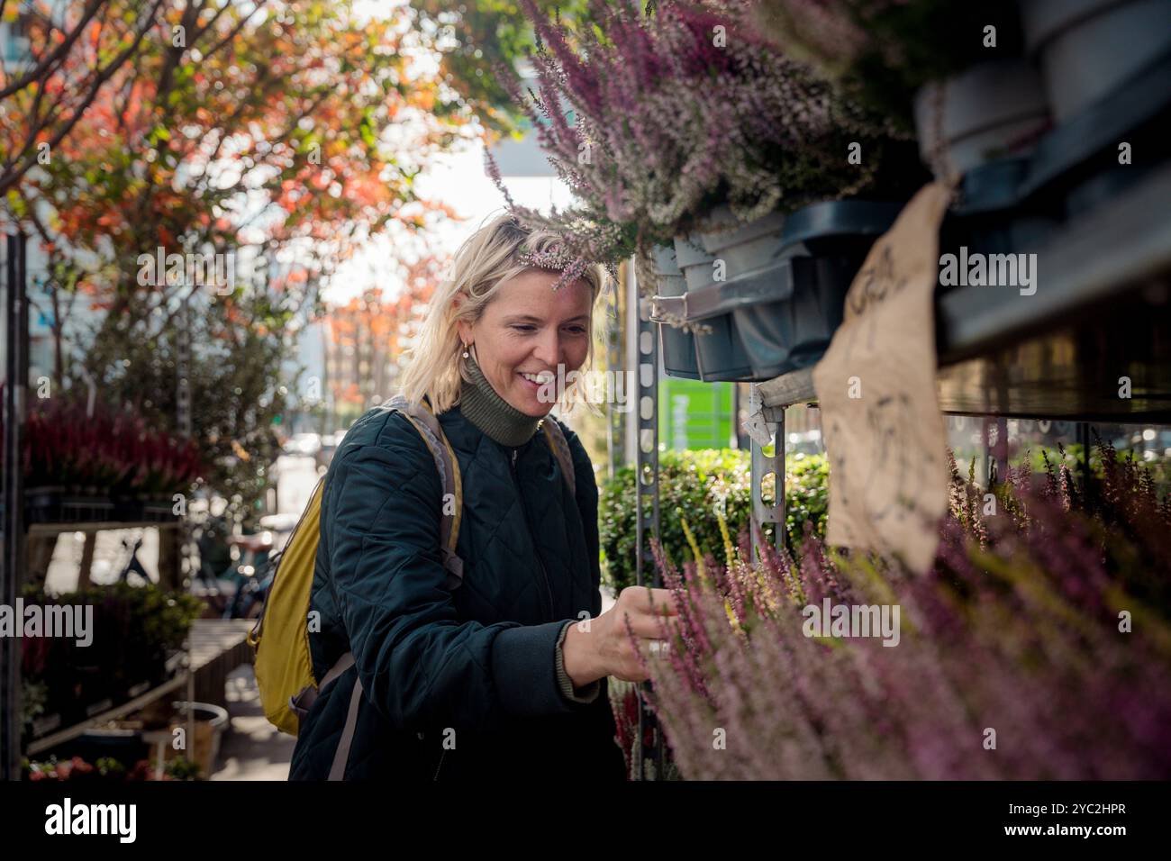 Donna viaggiatrice circondata da lussureggianti fiori d'autunno Foto Stock