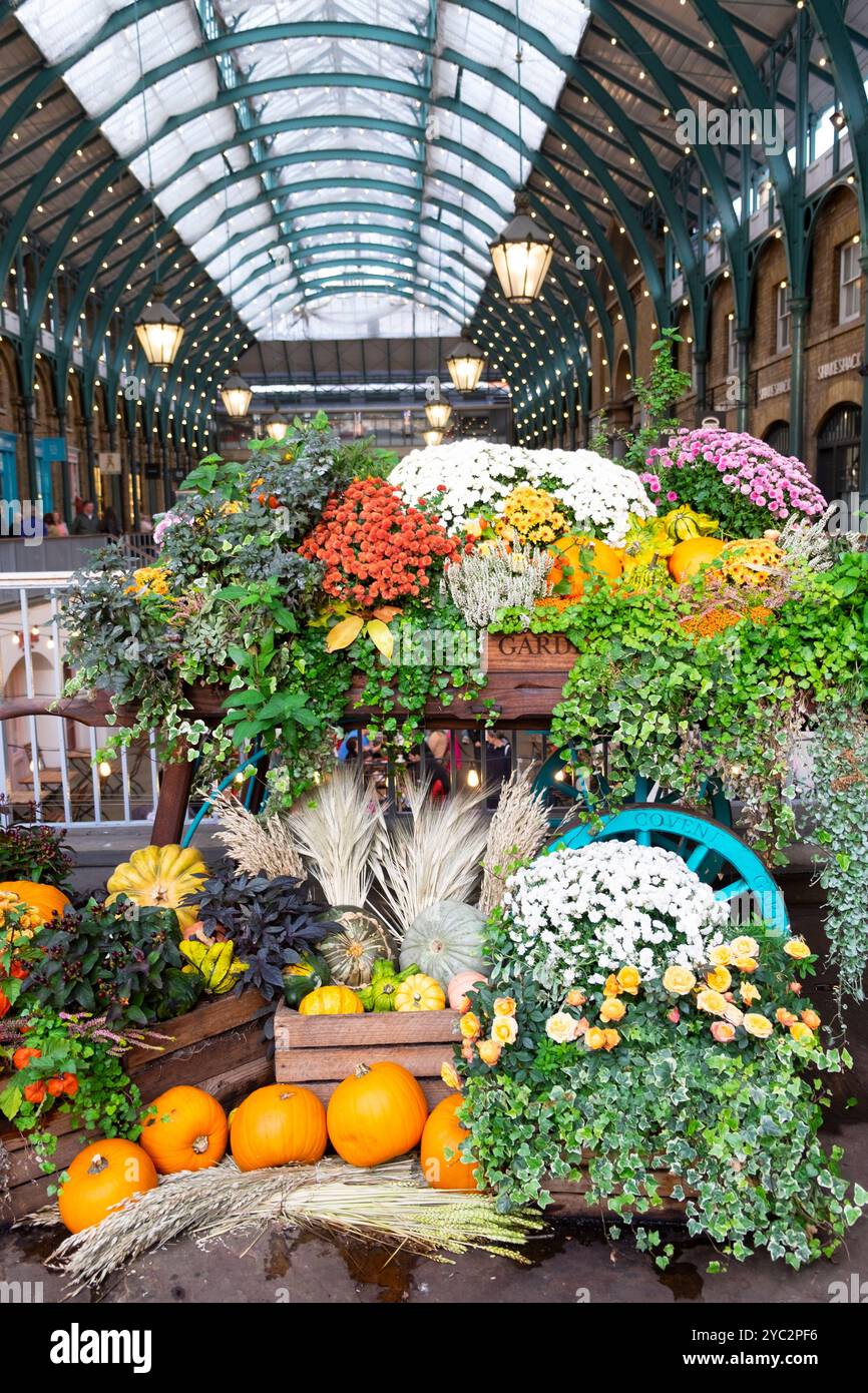 Esposizione autunnale di fiori floreali di zucca al mercato di Covent Garden nel centro di Londra WC2 Inghilterra Regno Unito Gran Bretagna ottobre 2024 KATHY DEWITT Foto Stock