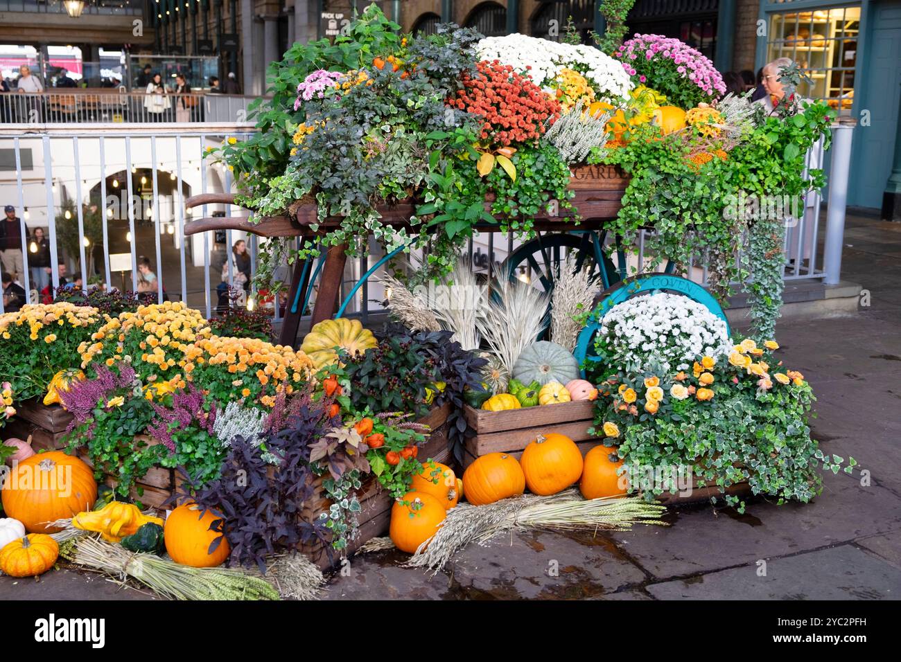 Esposizione autunnale di fiori floreali di zucca al mercato di Covent Garden nel centro di Londra WC2 Inghilterra Regno Unito Gran Bretagna ottobre 2024 KATHY DEWITT Foto Stock