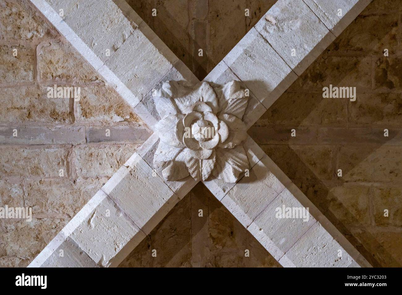 Fortezza di Federico II di Svevia, Castel del Monte, Andria, Murge occidentali, Barletta, Puliglia, Italia Foto Stock