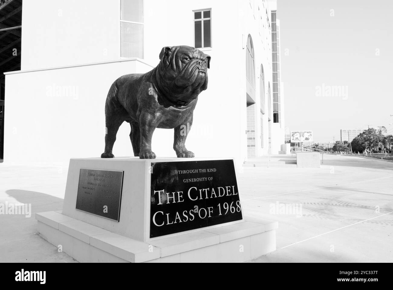 Statua della mascotte Bulldog di fronte al Johnson Hagood Stadium presso la Cittadella di Charleston, South Carolina, Stati Uniti. Foto Stock