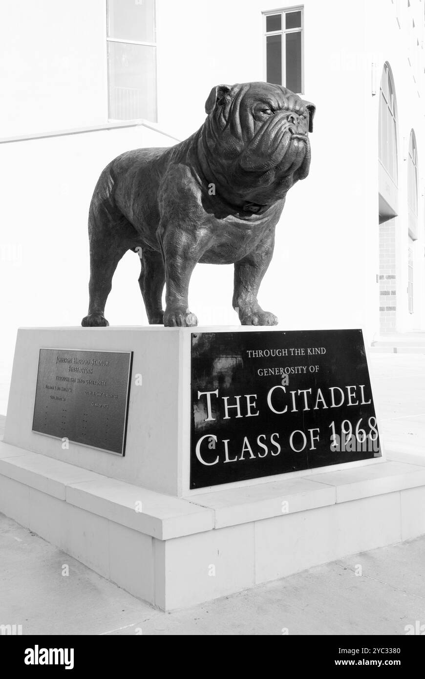 Statua della mascotte Bulldog al Johnson Hagood Stadium, sede della Cittadella, a Charleston, South Carolina, Stati Uniti. Foto Stock
