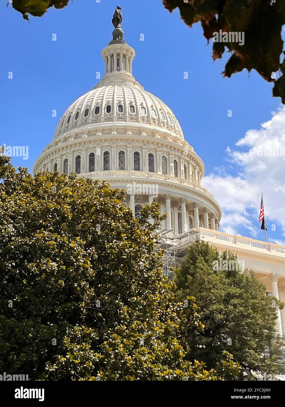 Capitol Hill US Congress, Washington, D.C., giorno estivo, agosto, cielo limpido e blu, il Campidoglio mostra i rami di un albero, nessuna gente - Immagine stock catturata con smartphone