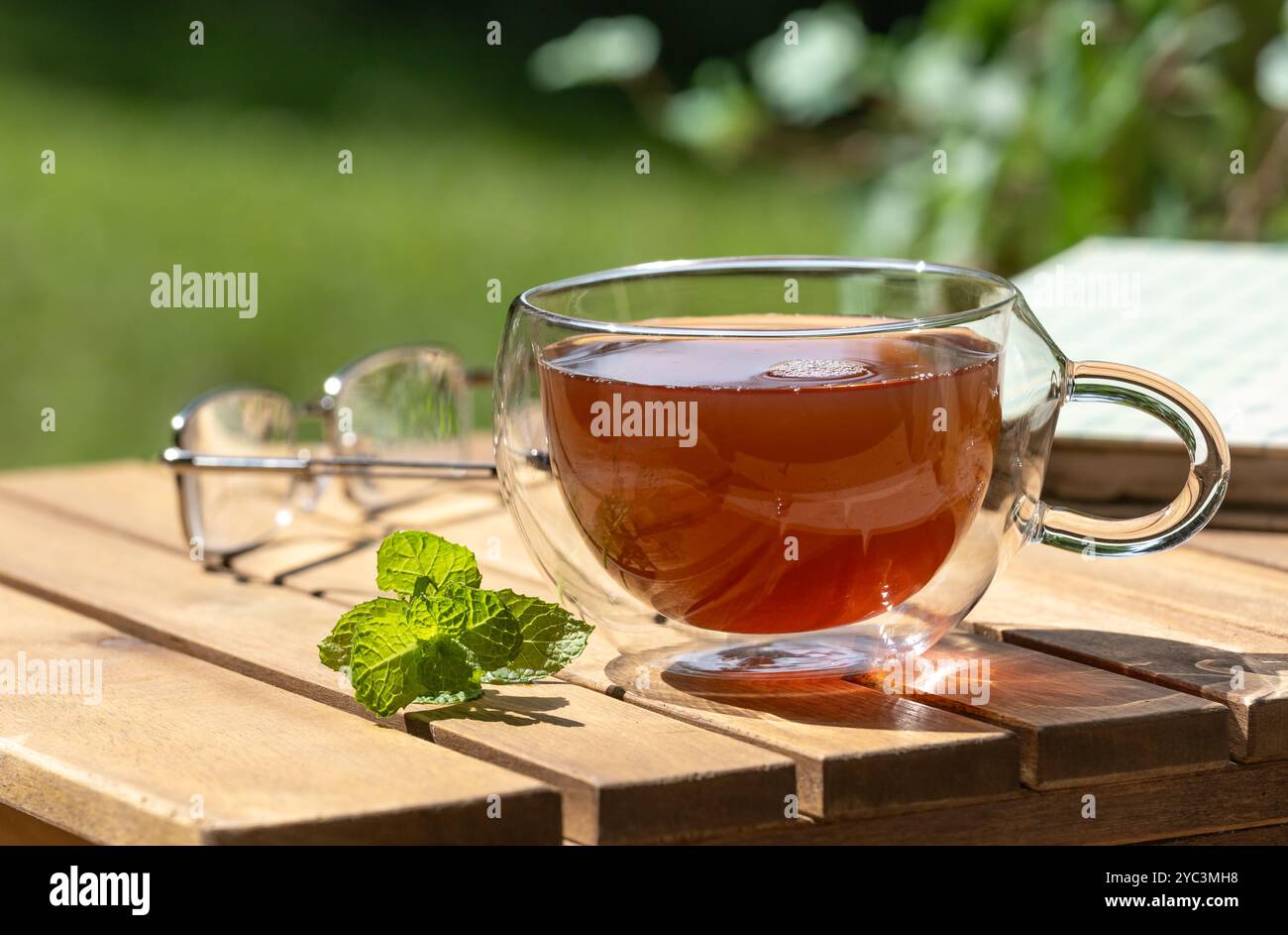 Tazza di tè e menta su un tavolo di legno con occhiali da vista e libro con sfondo naturale per lo spazio del cucciolo Foto Stock
