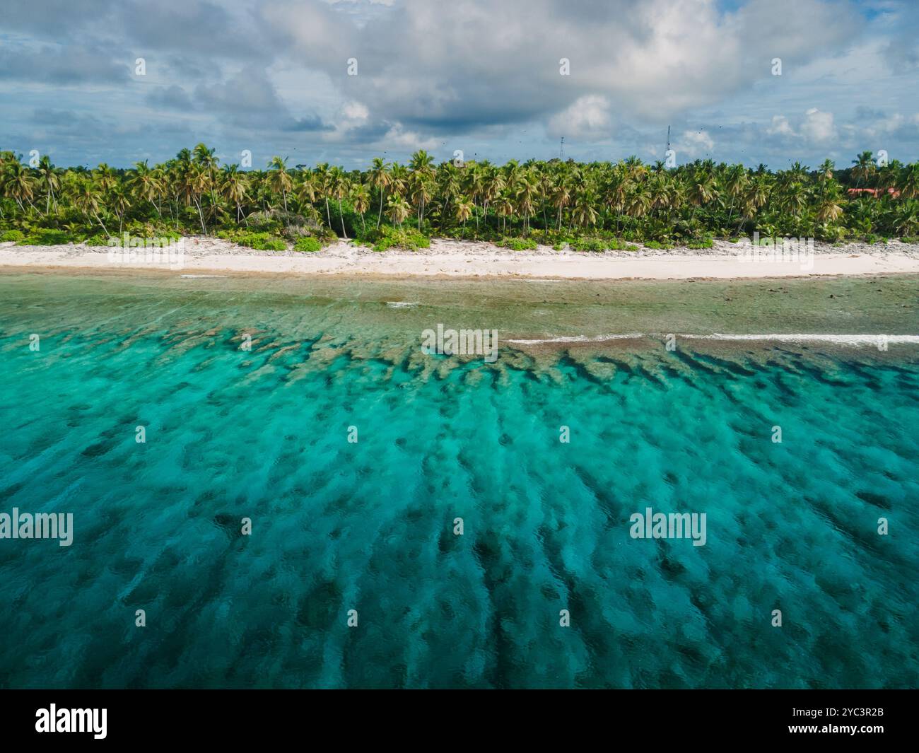 Costa tropicale delle Maldive con spiaggia, palme e oceano cristallino. Foto Stock