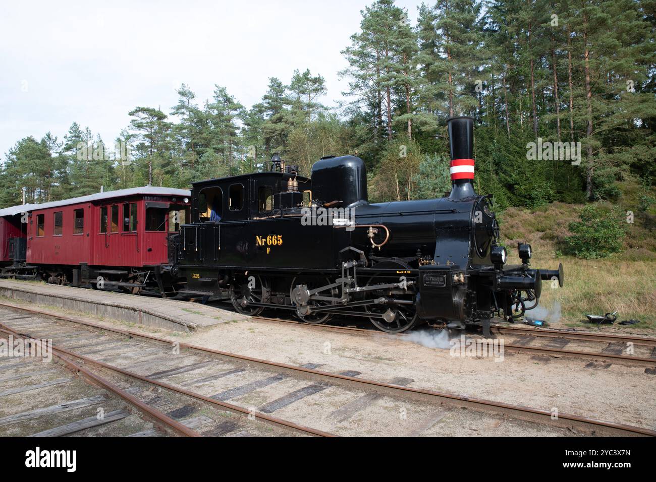 Treno a vapore d'epoca sulla pista panoramica della ferrovia forestale Foto Stock