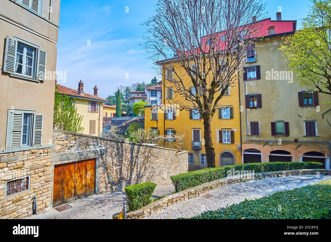 Il piccolo giardino topiario (Giardino del vicolo Aquila Nera) e la linea di densa case d'epoca in via dei Rivola, Bergamo alta, Italia Foto Stock