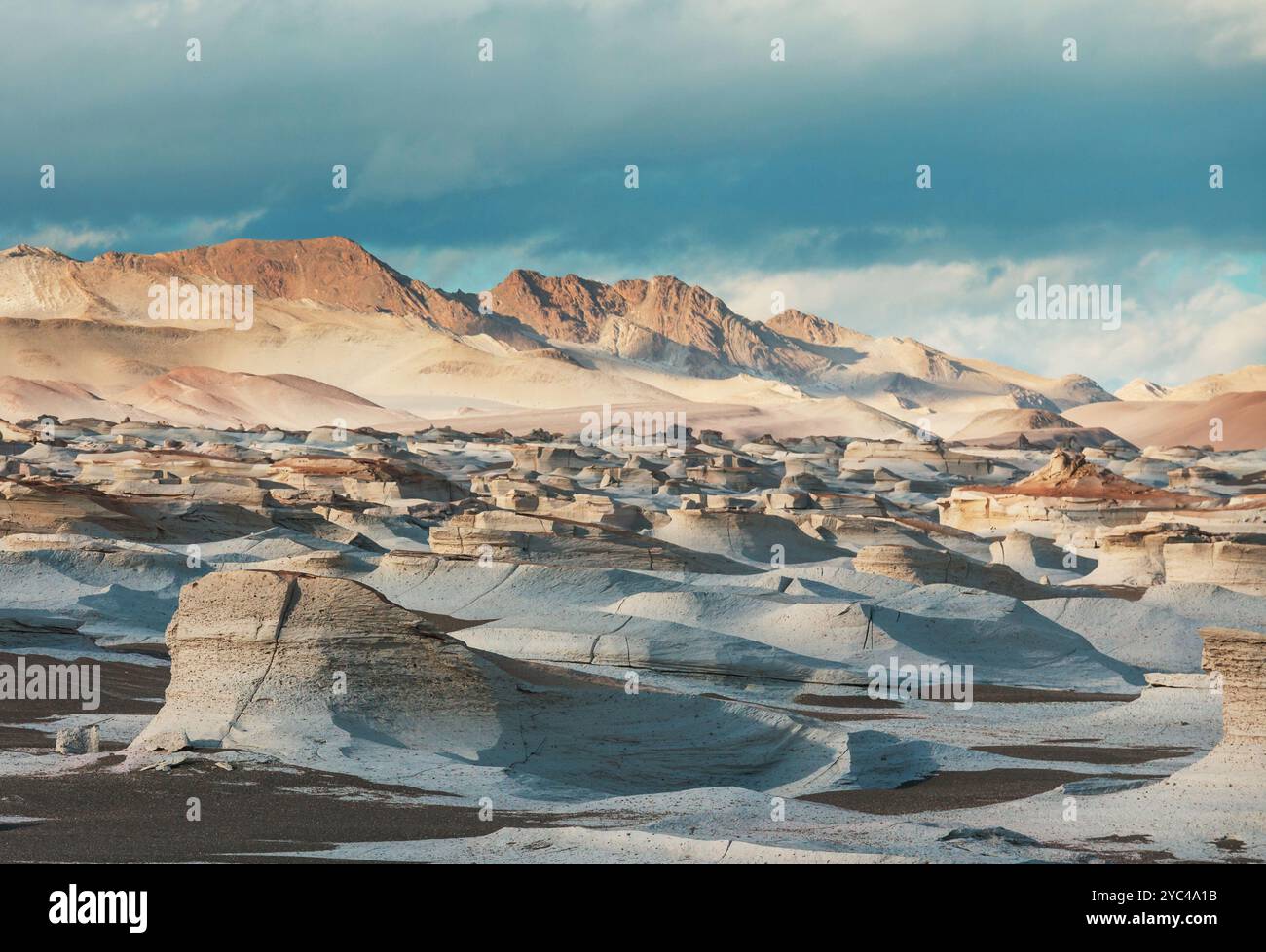 Fantastici paesaggi panoramici dell'Argentina settentrionale. Splendidi paesaggi naturali. Campo de Piedra Pomez vicino a Antofagasta de la Sierra, Puna. Foto Stock