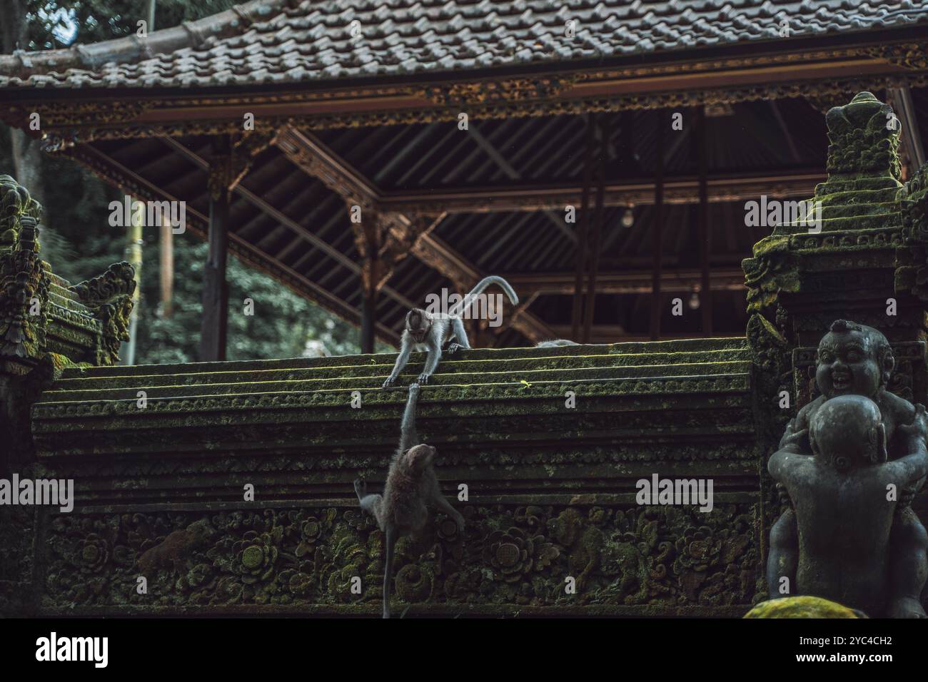 Scimmie in un tempio ornato coperto di muschio a Bali Foto Stock