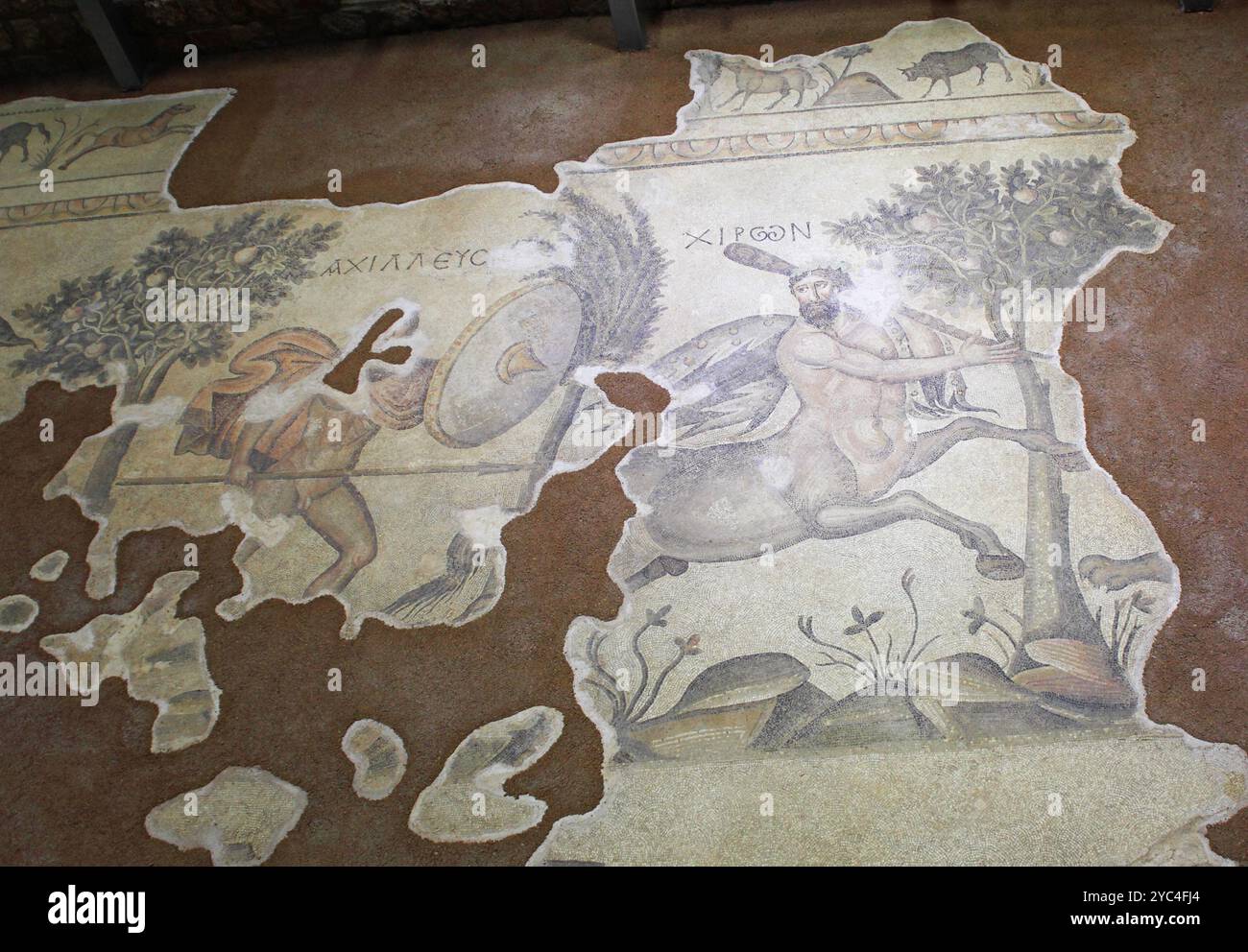 Haleplibahce mosaici della villa romana nel museo, Sanliurfa, Sud, Est, Turchia Foto Stock