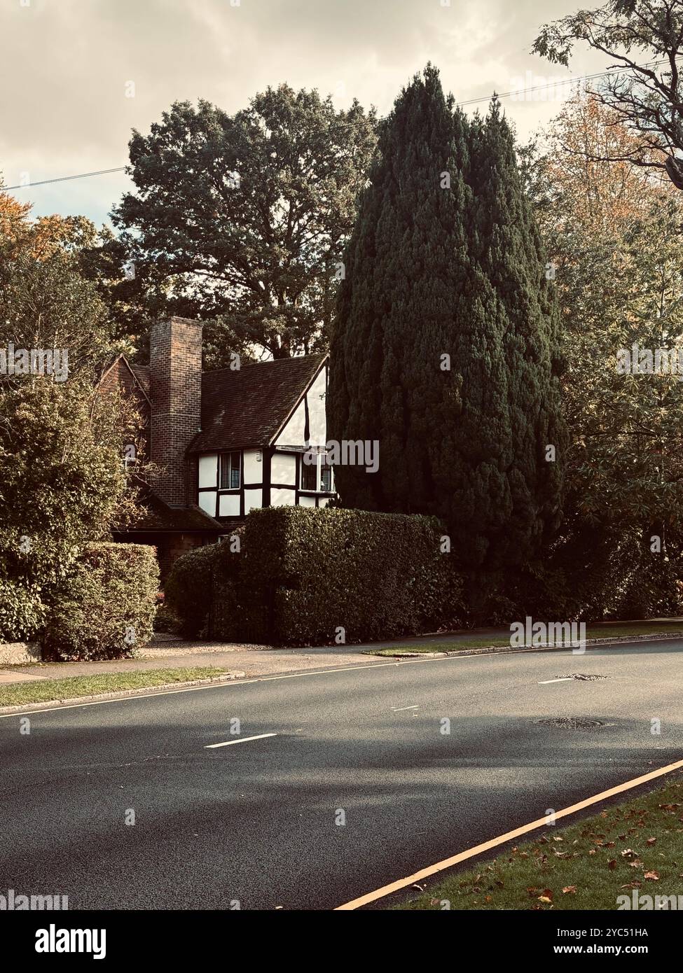 Una pittoresca casa in stile Tudor circondata da vegetazione lussureggiante e alti alberi, situata lungo una strada tranquilla in una giornata d'autunno nuvolosa - Immagine stock catturata con smartphone