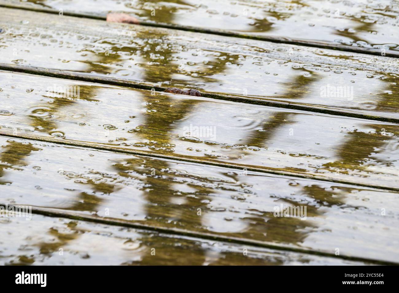 Superficie bagnata durante la pioggia di terrazze in legno con muschio e riflessi, Bruxelles, Belgio Foto Stock