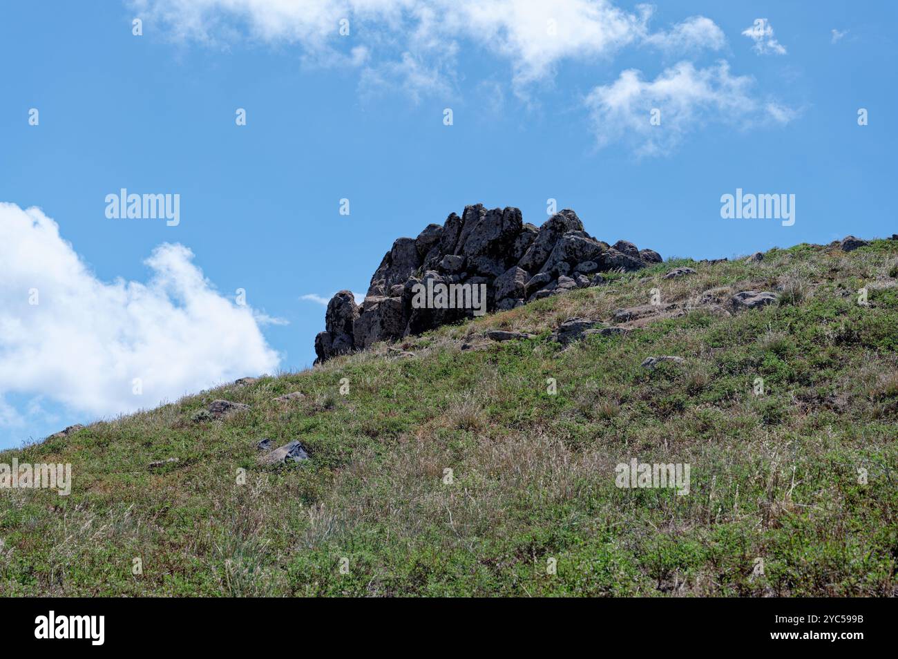 La formazione rocciosa sorge su una collina erbosa sotto un cielo azzurro a Vereda da Ponta de São Lourenco Foto Stock