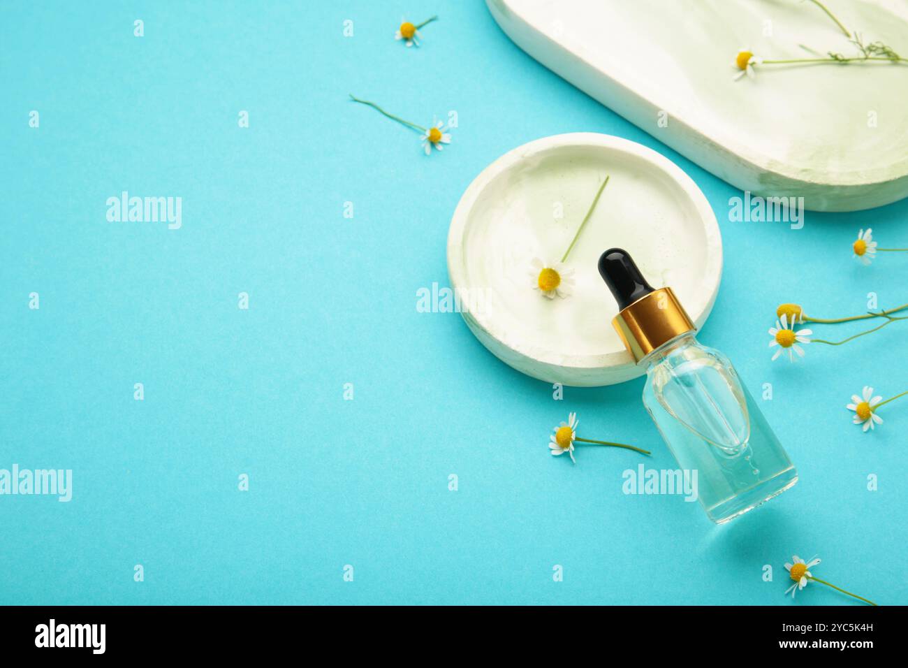 Composizione con fiori di camomilla e bottiglia cosmetica di olio essenziale su vassoio in gesso su sfondo blu, vista dall'alto Foto Stock