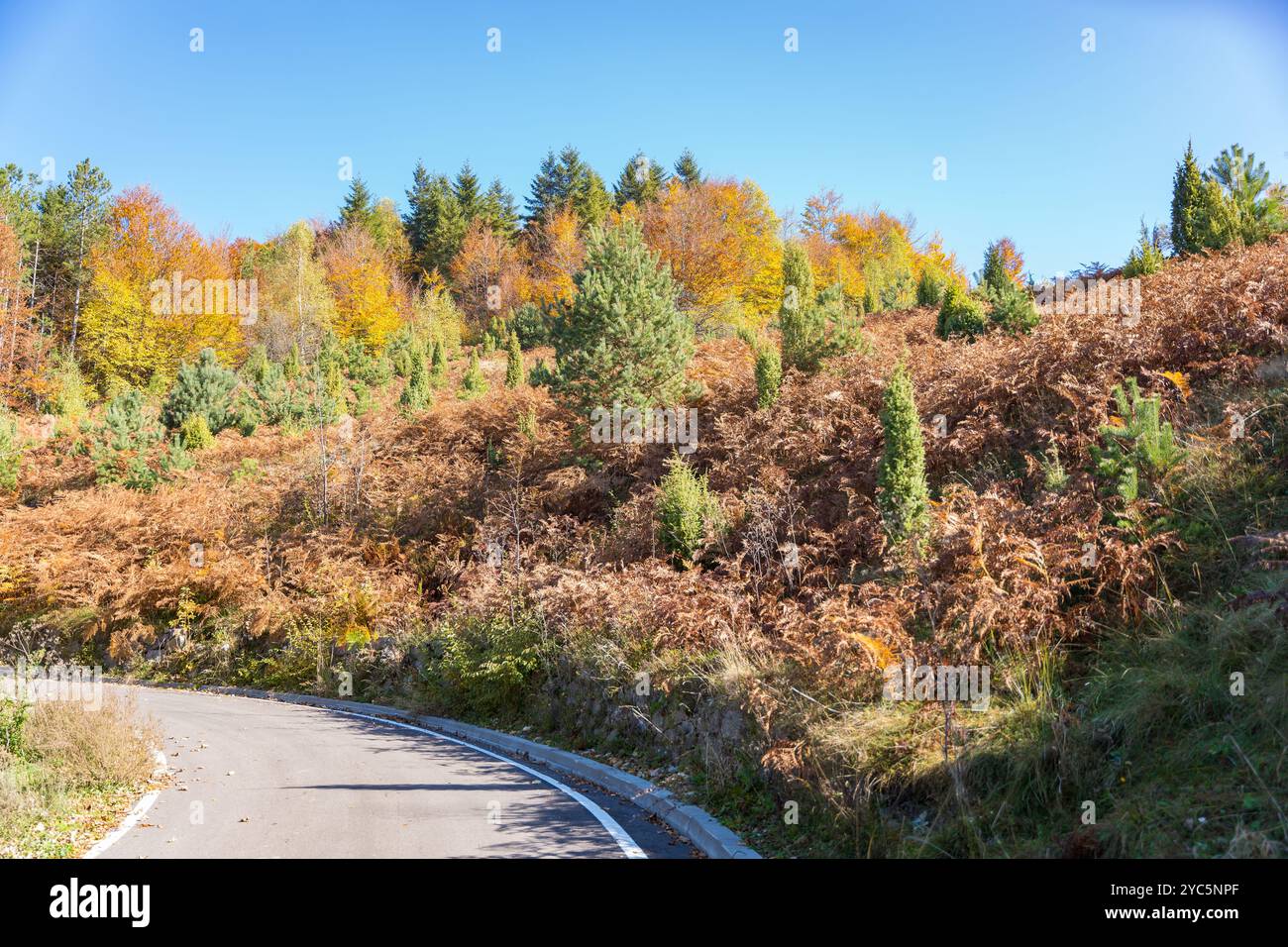 Natura e punti panoramici della montagna Bobija nella Serbia occidentale, vicino alla città di Valjevo. Una riserva naturale con sentieri escursionistici, paesaggi e un ambiente naturale Foto Stock