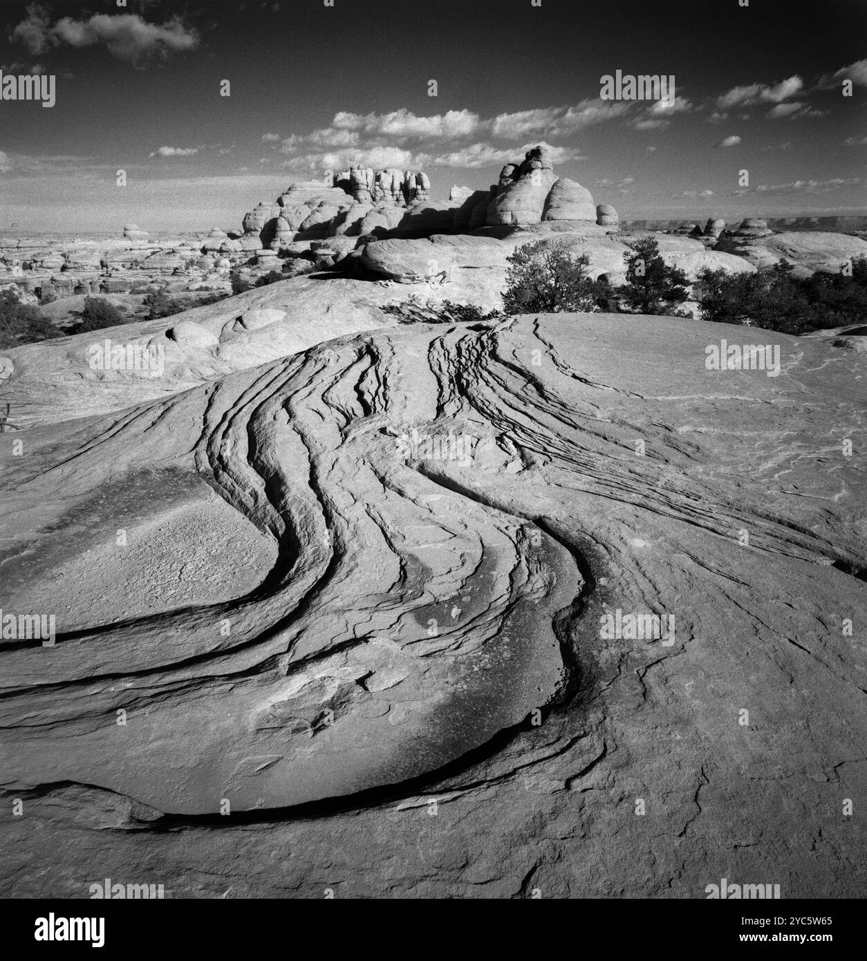 BW02179-00..... UTAH - arenaria nel Needles District del Canyonlands National Park. Foto Stock