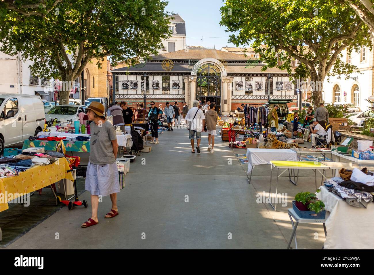 Mercato delle pulci del sabato, Meze, Herault, Occitanie, Francia, Europa Foto Stock