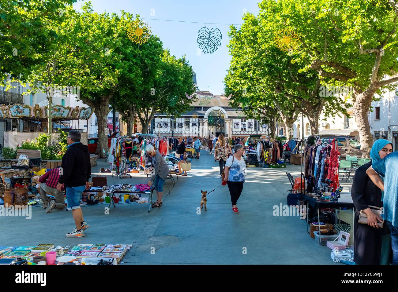 Mercato delle pulci del sabato, Meze, Herault, Occitanie, Francia, Europa Foto Stock
