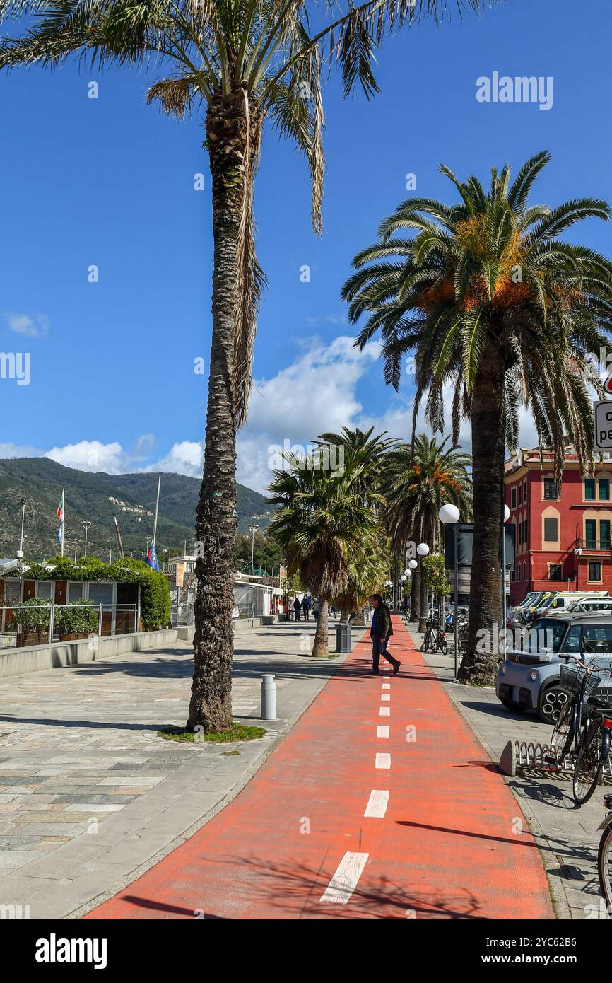 La pista ciclabile sul lungomare fiancheggiato da palme dell'antico villaggio di pescatori sulla Riviera Ligure di Levante, in una soleggiata giornata primaverile, Sestri Levante, Genova Foto Stock