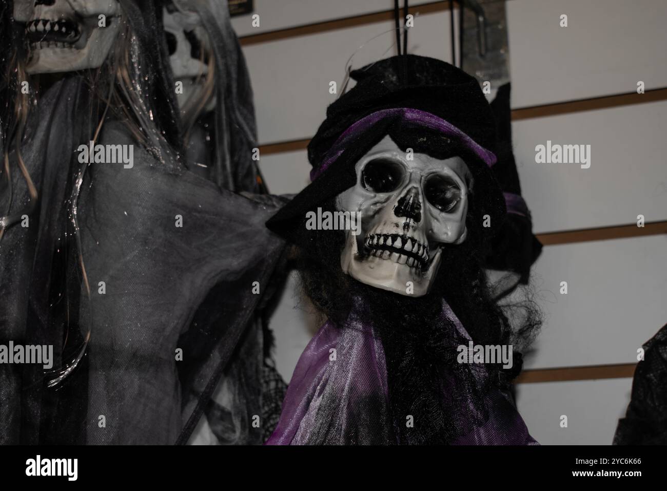 Scheletro spaventoso o teschio umano con cappello a velo nero e nastro viola Foto Stock