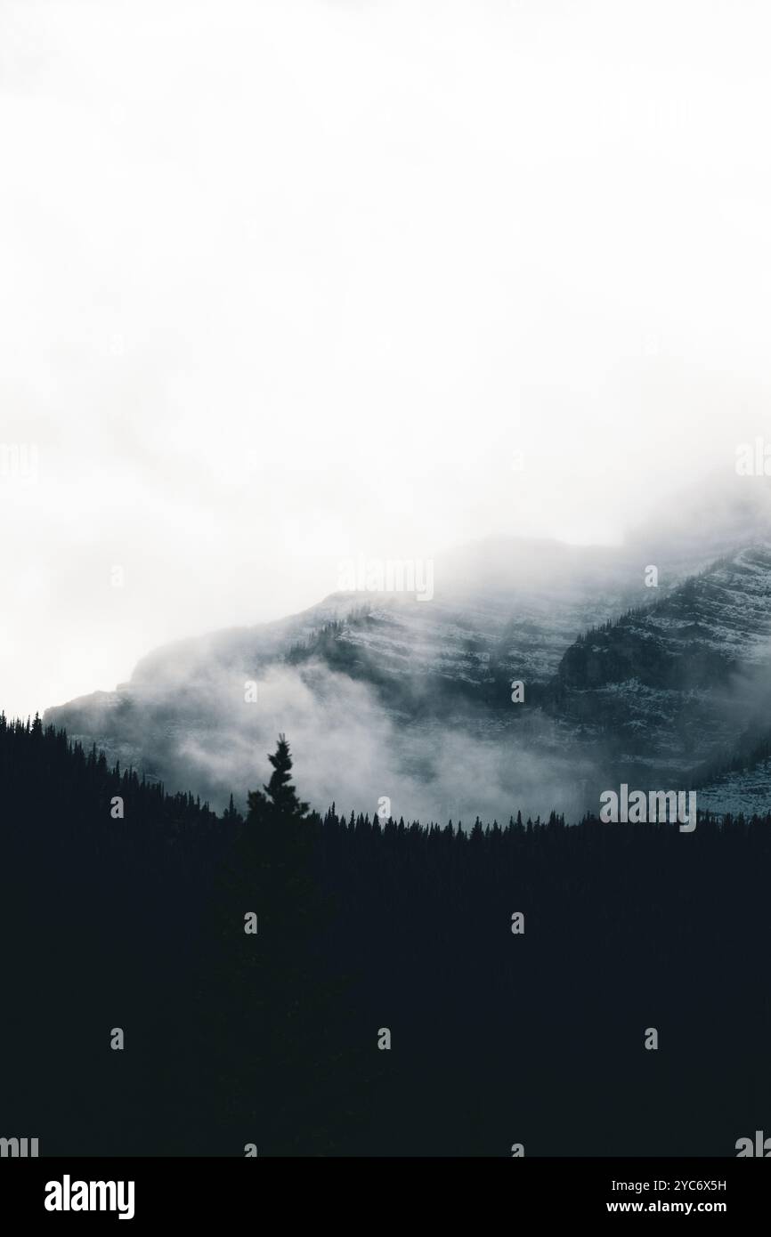 Montagne avvolte dalla nebbia Foto Stock