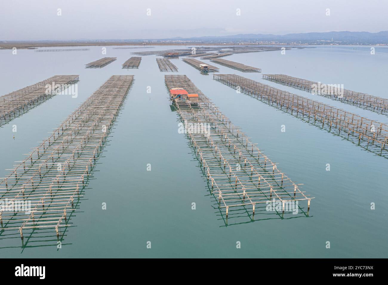 Azienda agricola Ebro Delta. Cozze e ostriche impianti di acquacoltura nella regione del delta dell'Ebro in Spagna. Foto Stock