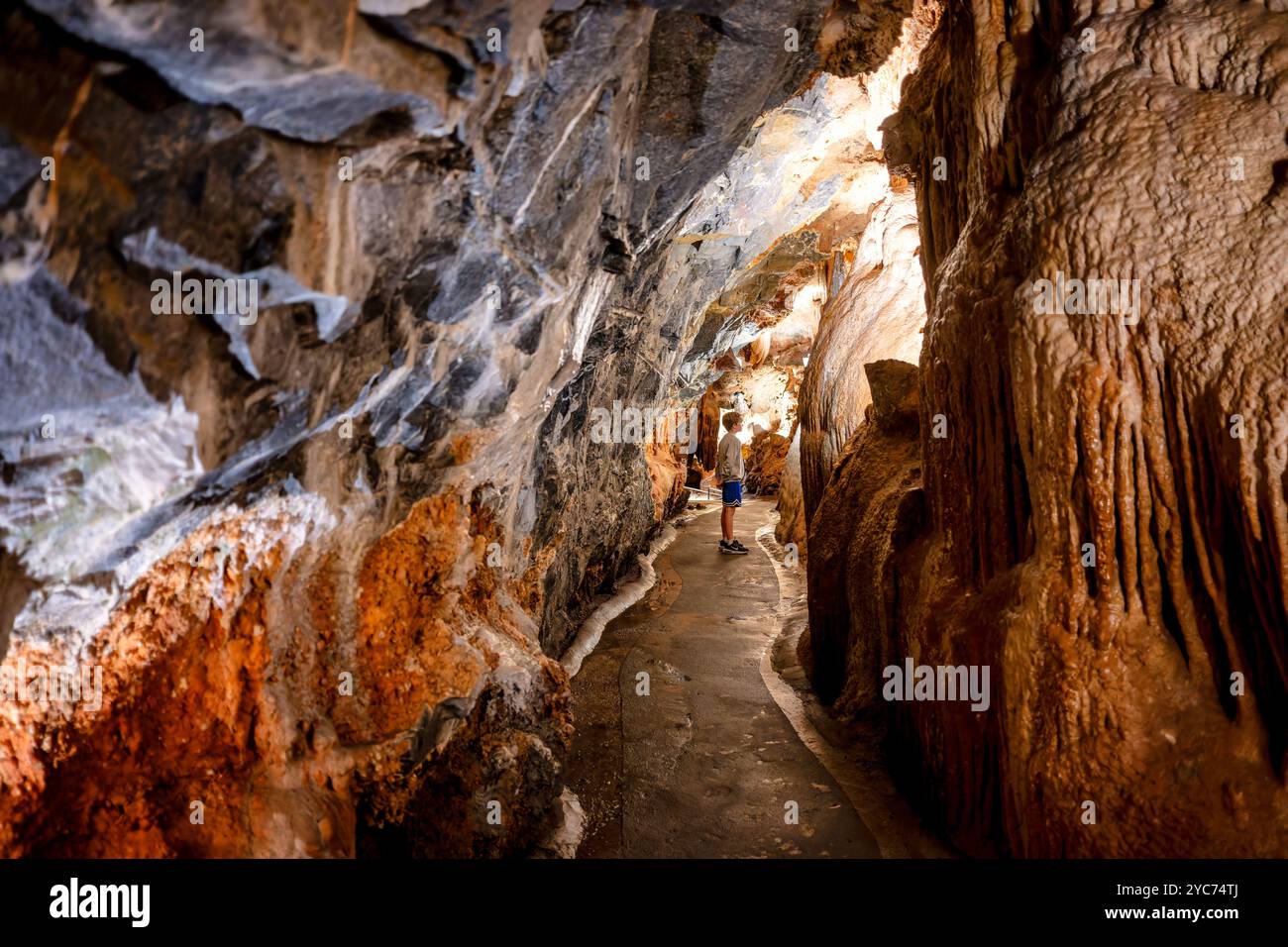 Luray Caverns formazioni calcaree Luray Virginia // LURAY, Virginia, Stati Uniti - il vasto sistema di grotte di Luray Caverns mostra diverse formazioni calcaree create nel corso di milioni di anni. Queste grotte, scoperte nel 1878, presentano colonne drammatiche, stalattiti, stalagmiti, e flowstone in tutte le loro camere collegate. Le caverne rappresentano uno dei sistemi di grotte più visitati e ben conservati degli Stati Uniti orientali. Foto Stock