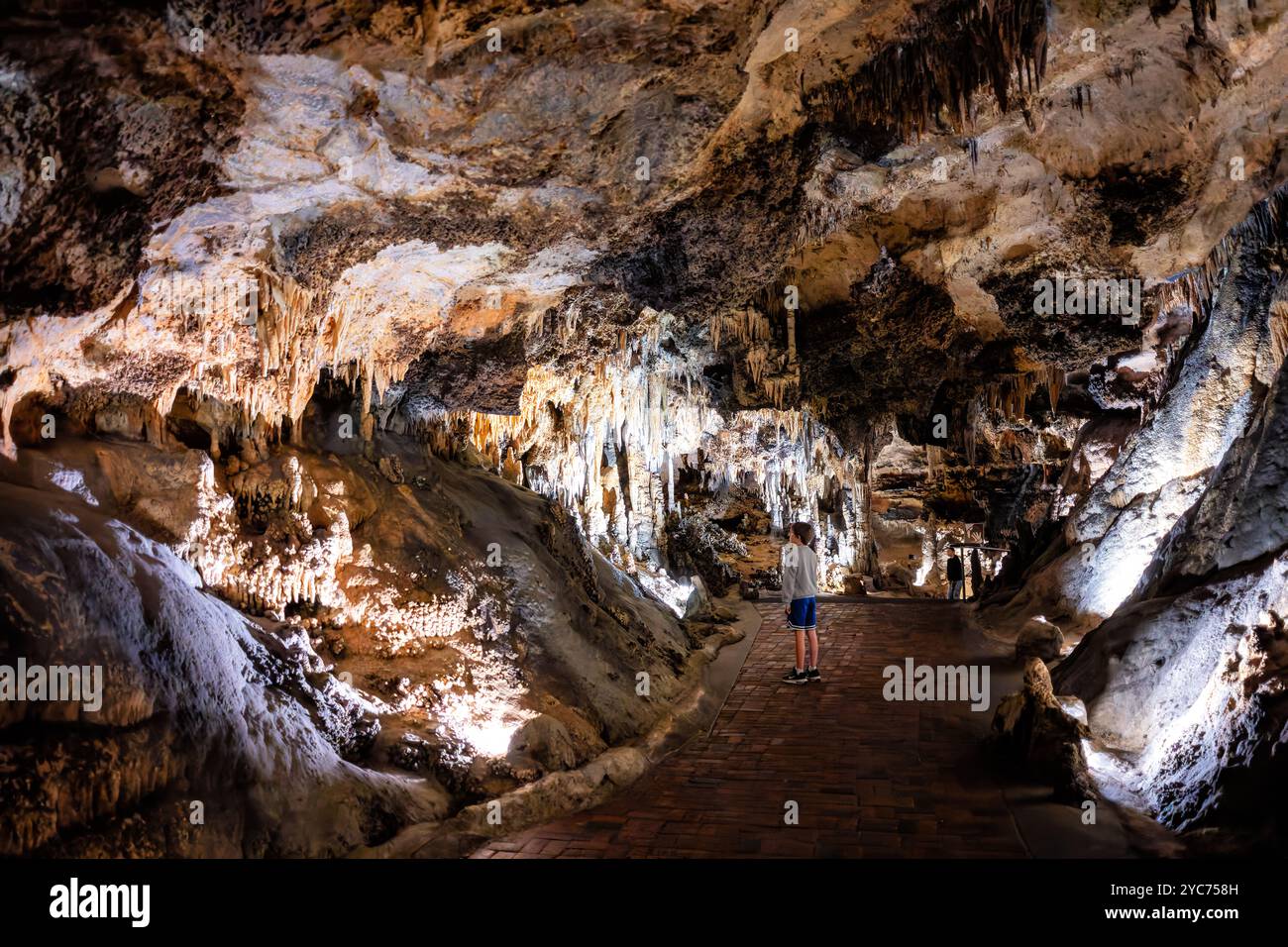 Luray Caverns formazioni calcaree Luray Virginia // LURAY, Virginia, Stati Uniti - il vasto sistema di grotte di Luray Caverns mostra diverse formazioni calcaree create nel corso di milioni di anni. Queste grotte, scoperte nel 1878, presentano colonne drammatiche, stalattiti, stalagmiti, e flowstone in tutte le loro camere collegate. Le caverne rappresentano uno dei sistemi di grotte più visitati e ben conservati degli Stati Uniti orientali. Foto Stock