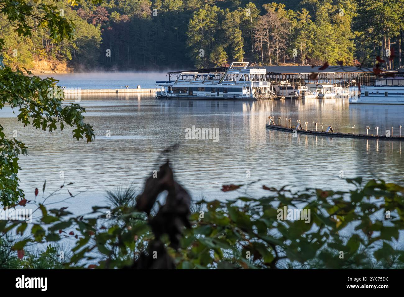 Vista sul porticciolo del parco dai cottage sul lungomare del Red Top Mountain State Park sul lago Allatoona a Cartersville, Georgia. (USA) Foto Stock