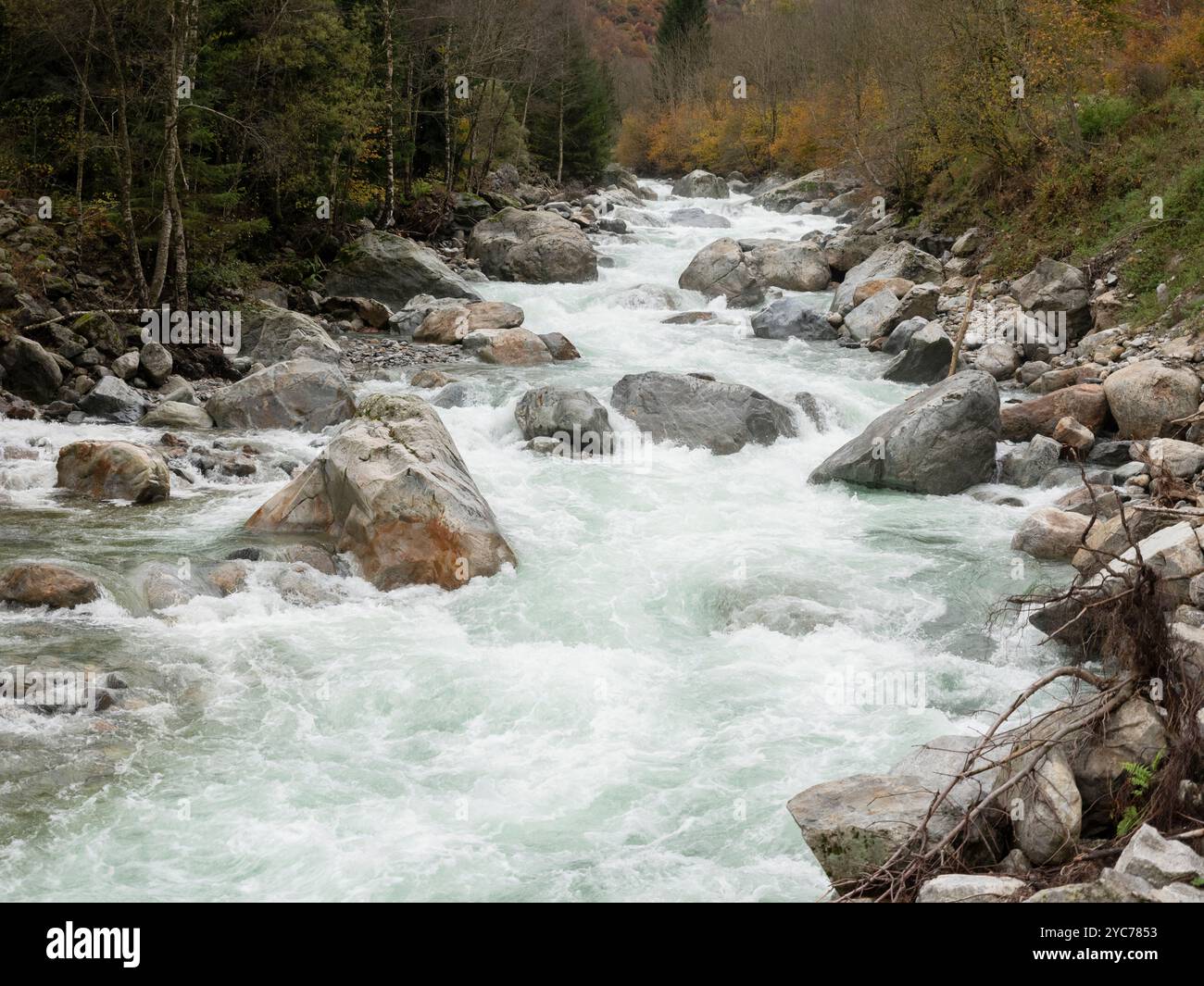 Il fiume di montagna nelle Alpi marittime si gonfia d'acqua dopo alcuni giorni di pioggia intensa Foto Stock