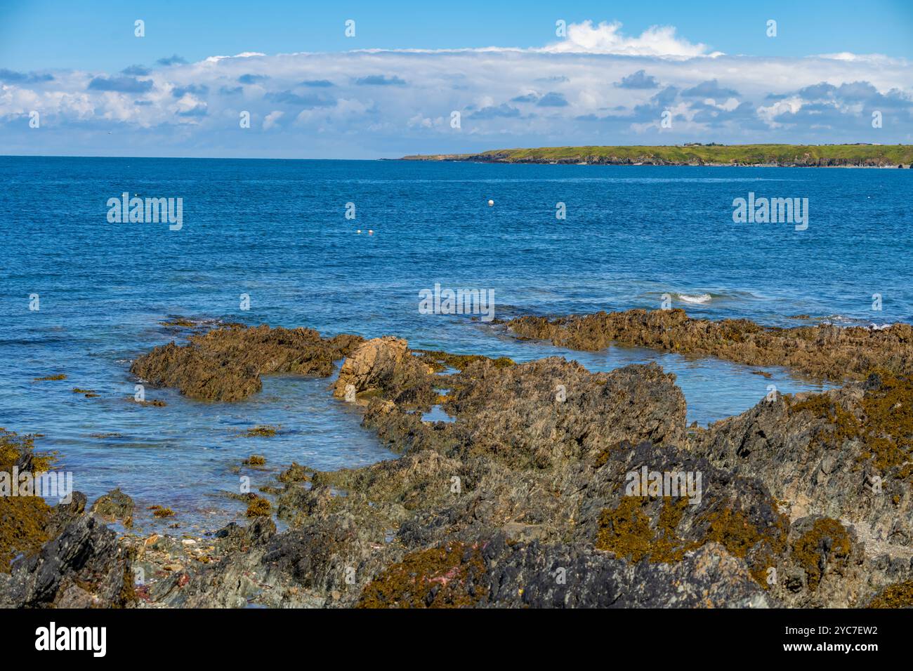 Guardando lungo la costa settentrionale della penisola di Llyn, nel Galles settentrionale, da Porth Colmon Foto Stock